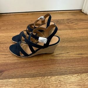 Ankle Strap Wedge